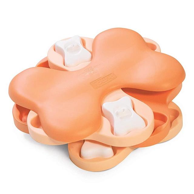 Nina Ottosson by Outward Hound - Interactive Puzzle Game Dog Toys