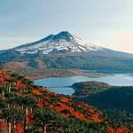 Parque Nacional Conguillio