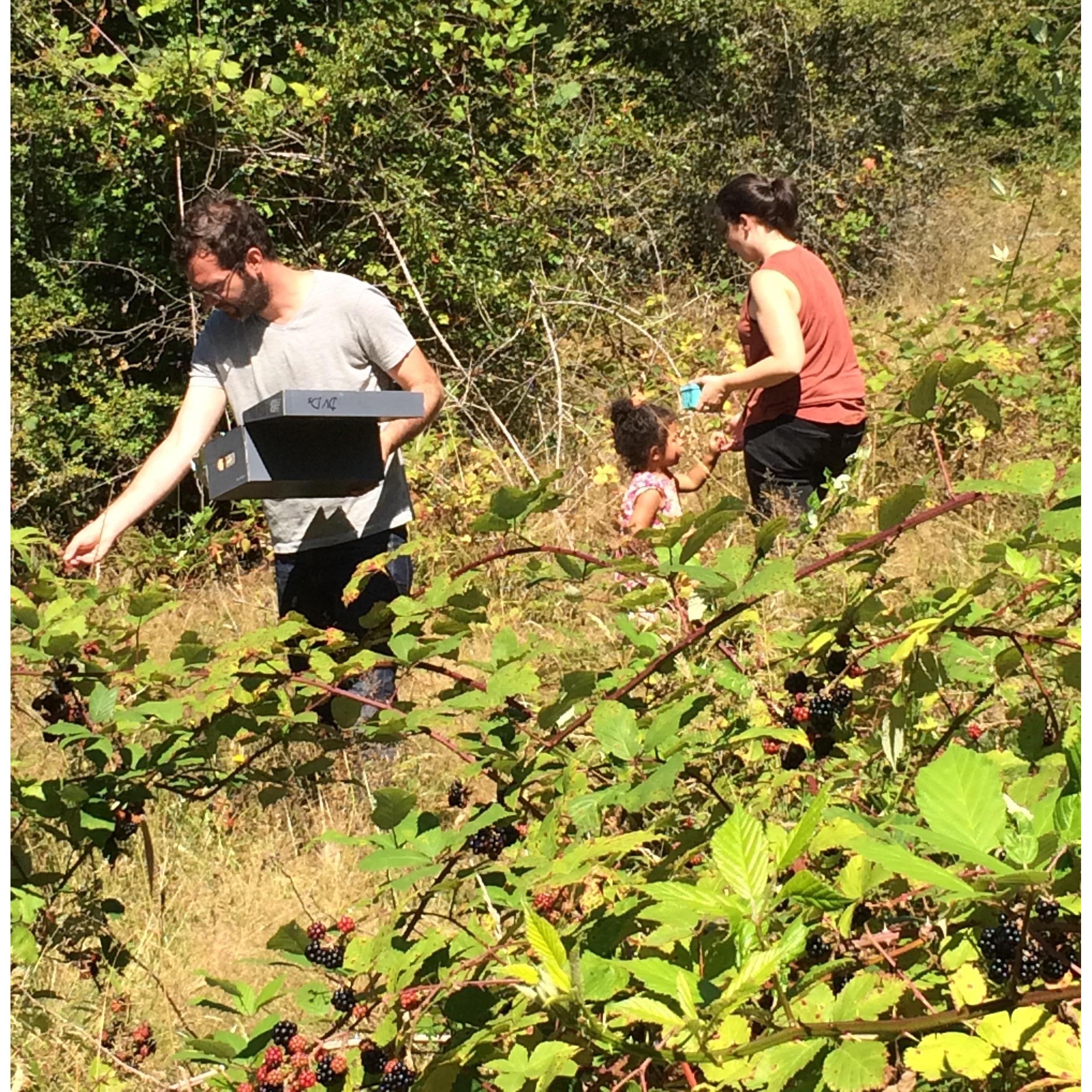 Picking berries at Olivia's family's
 farm
