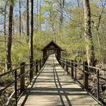 Suwanee Creek Park