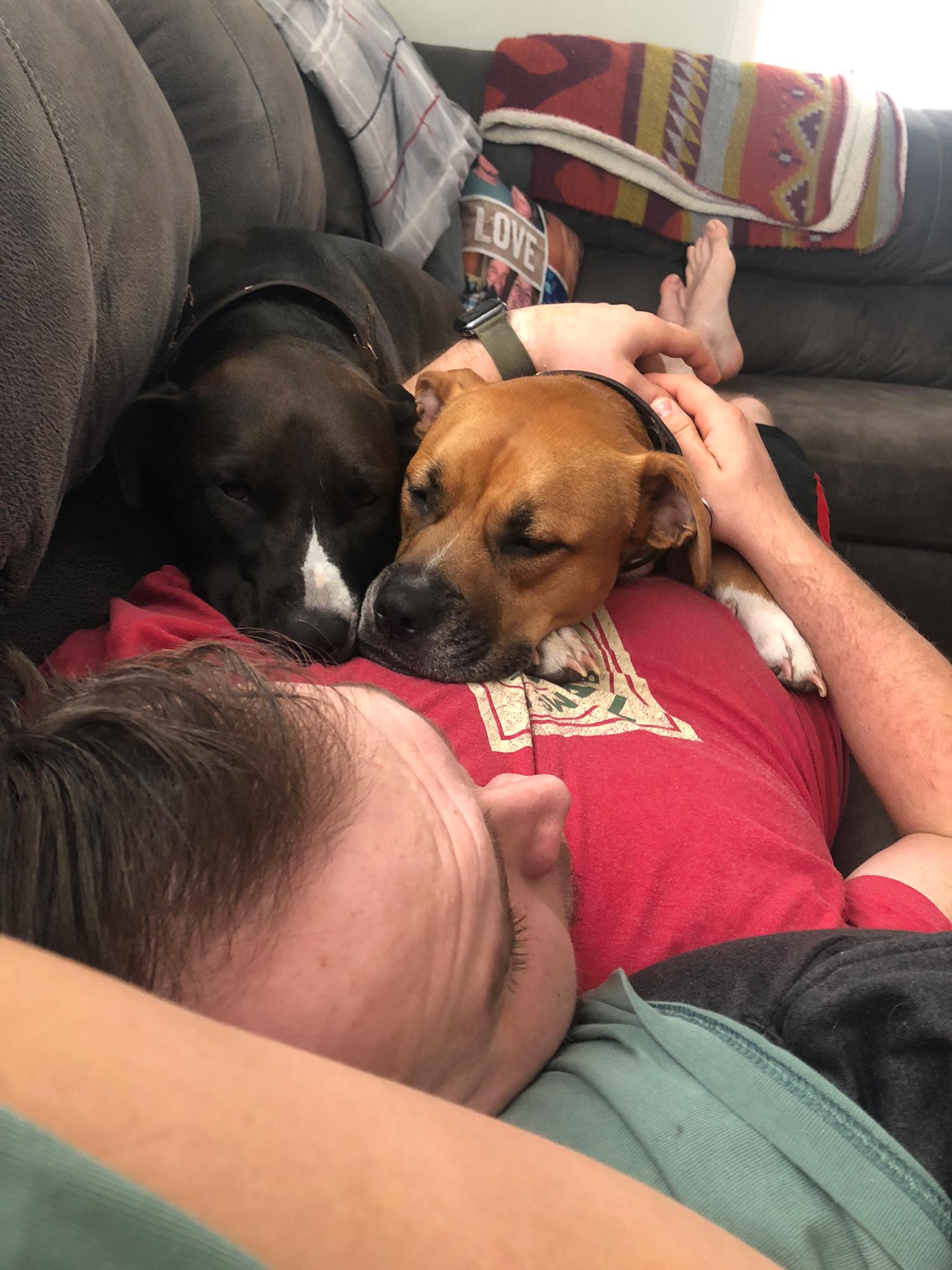 Cuddle time
