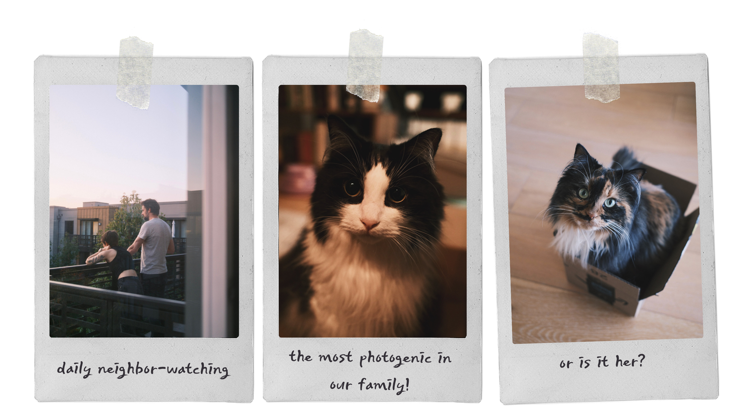 The Wedding Website of Erin Duddy and Nick Haber