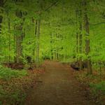 Knox Farm State Park