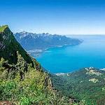 Catch a cogwheel Train to the Rochers-de-Naye Alpine Garden