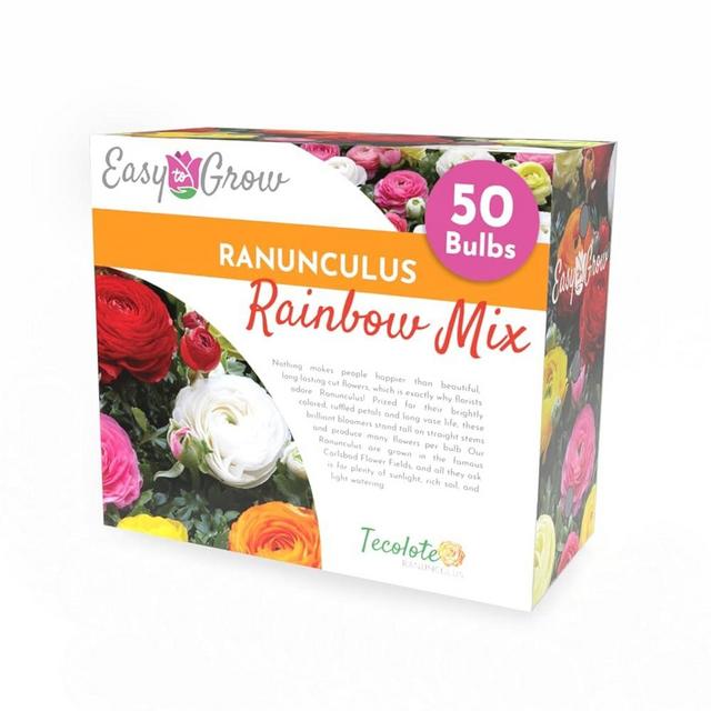 Easy to Grow Ranunculus Tecolote 'Rainbow Mix' Plant Bulbs (50) Value Size - Mixed Colors Flowering Blooms in Temperate Spring Gardens