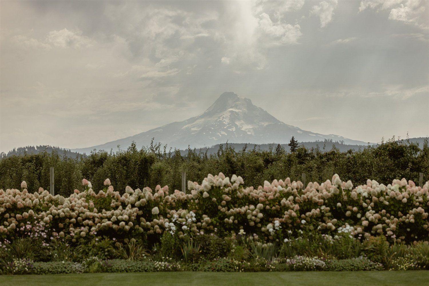 The Wedding Website of Kaitie Clarke and Jesse Hohlt