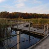 Horicon Marsh