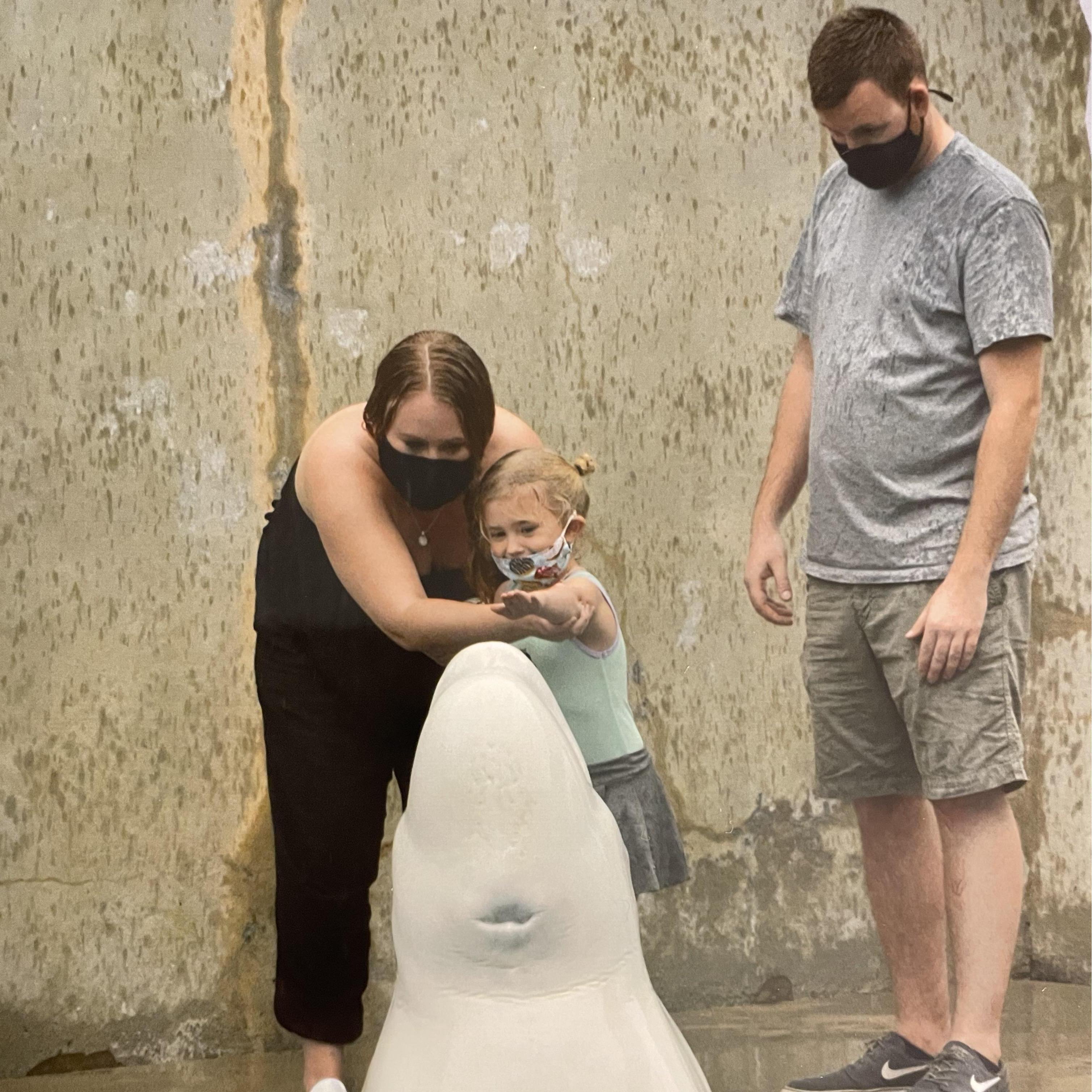 Us petting Oliver the beluga whale
