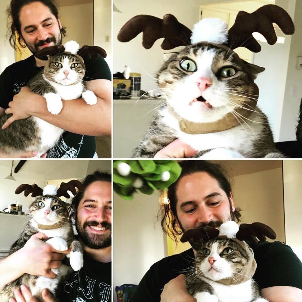 Thor's first Christmas in Eugene!