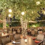 Old Town Tortilla Factory