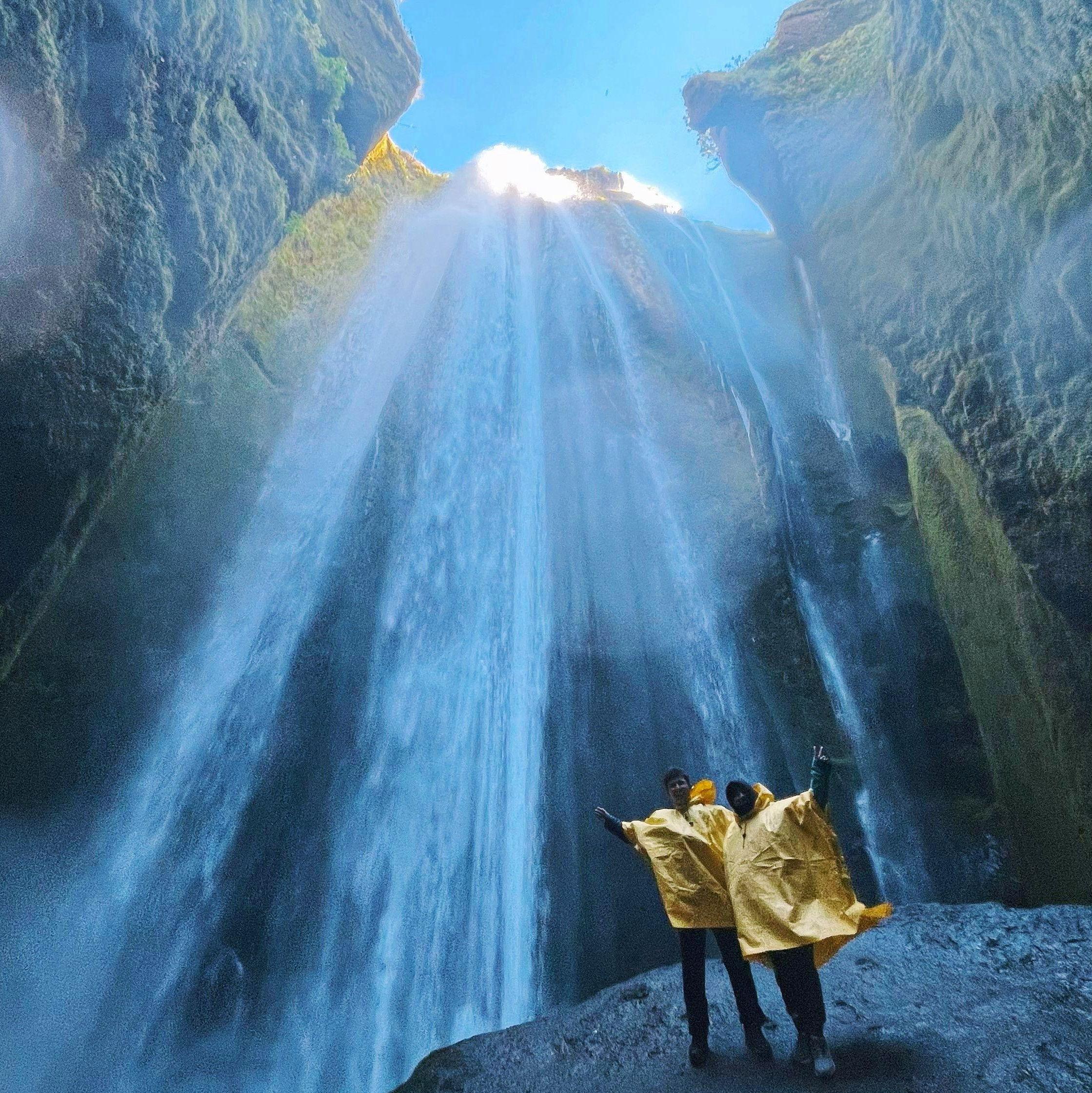 In Iceland we saw 100 waterfalls, 15 cats, hundreds of horses, and thousands of sheep. Our favorite were the sheep 🥰