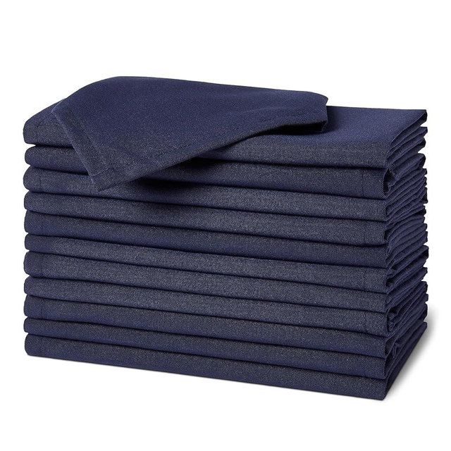 Amazon Basics Reusable Stain and Wrinkle Resistant Cloth Napkins, 12 Pack, 17 x 17 inches, Blue
