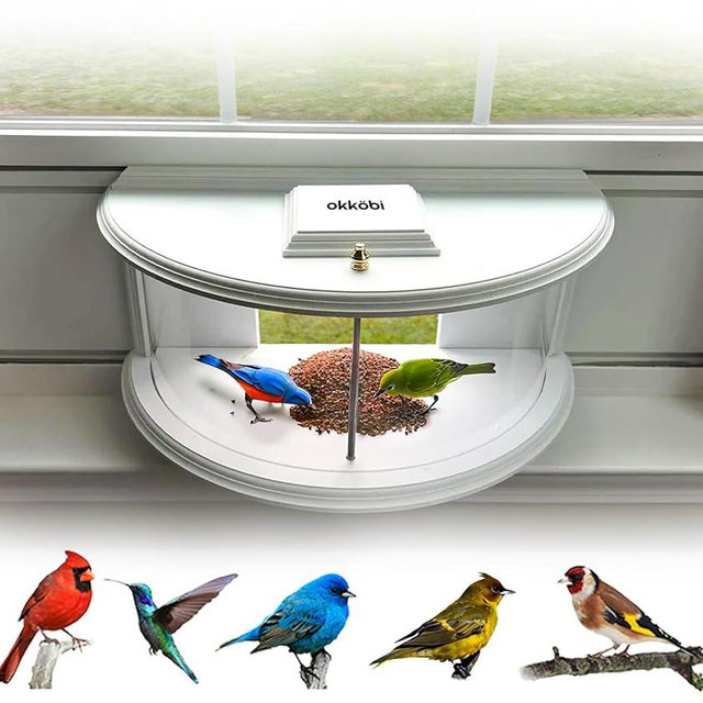 Skybox Window Bird Feeder Inside House - 180 Clear View of Birds Feeding - Bird Box Fits Windows 30-41 inches - Including Rain Cover Slide