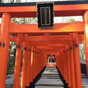 Japan Honeymoon fund