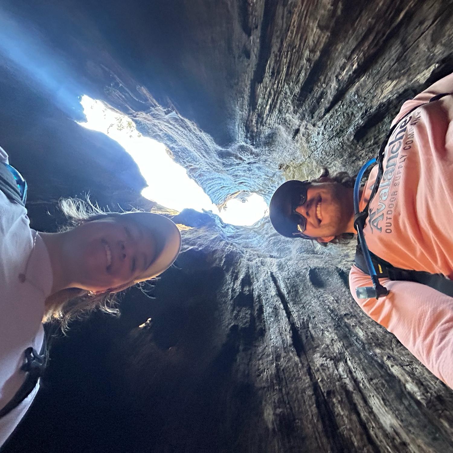 Inside a big ol tree. Sequoia National Park, May 2024