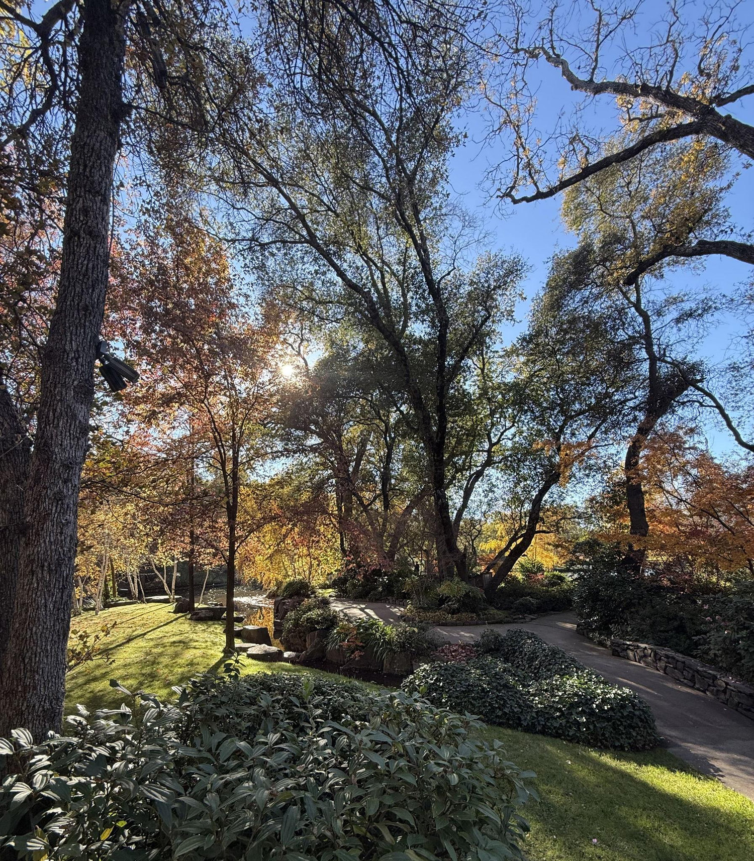 The Wedding Website of Erin Woods and Cory Devlin