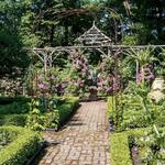 The Frelinghuysen Arboretum
