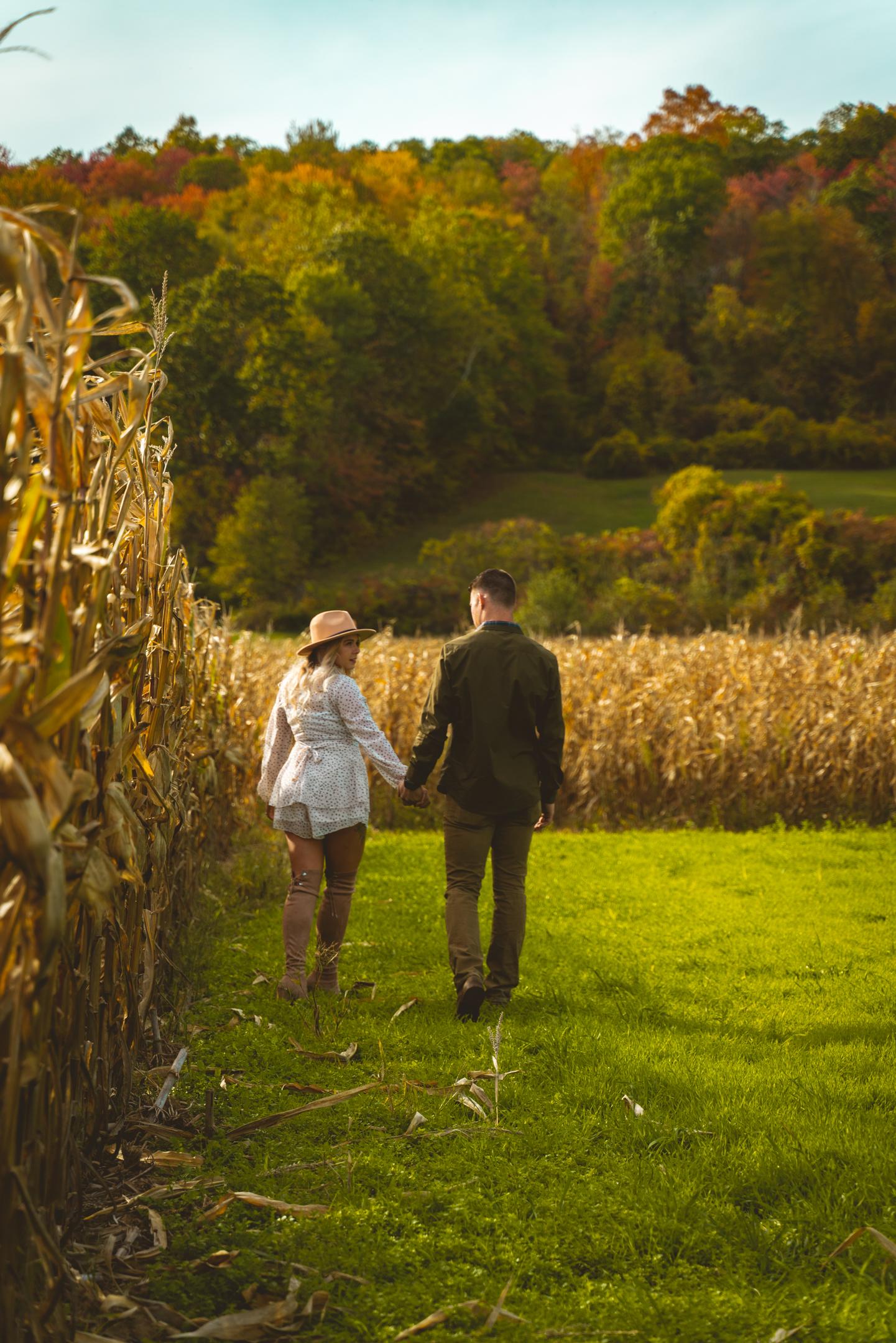 The Wedding Website of Jenny Neufeld and Brandon Richard