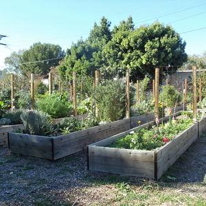 Donation to Monterey Road Eco Community Gardens