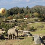 San Diego Zoo Safari Park