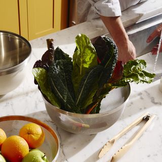 Premium Stainless Steel Strainer