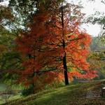 Winterthur Museum, Estate & Gardens