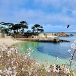 Lover's Point Beach