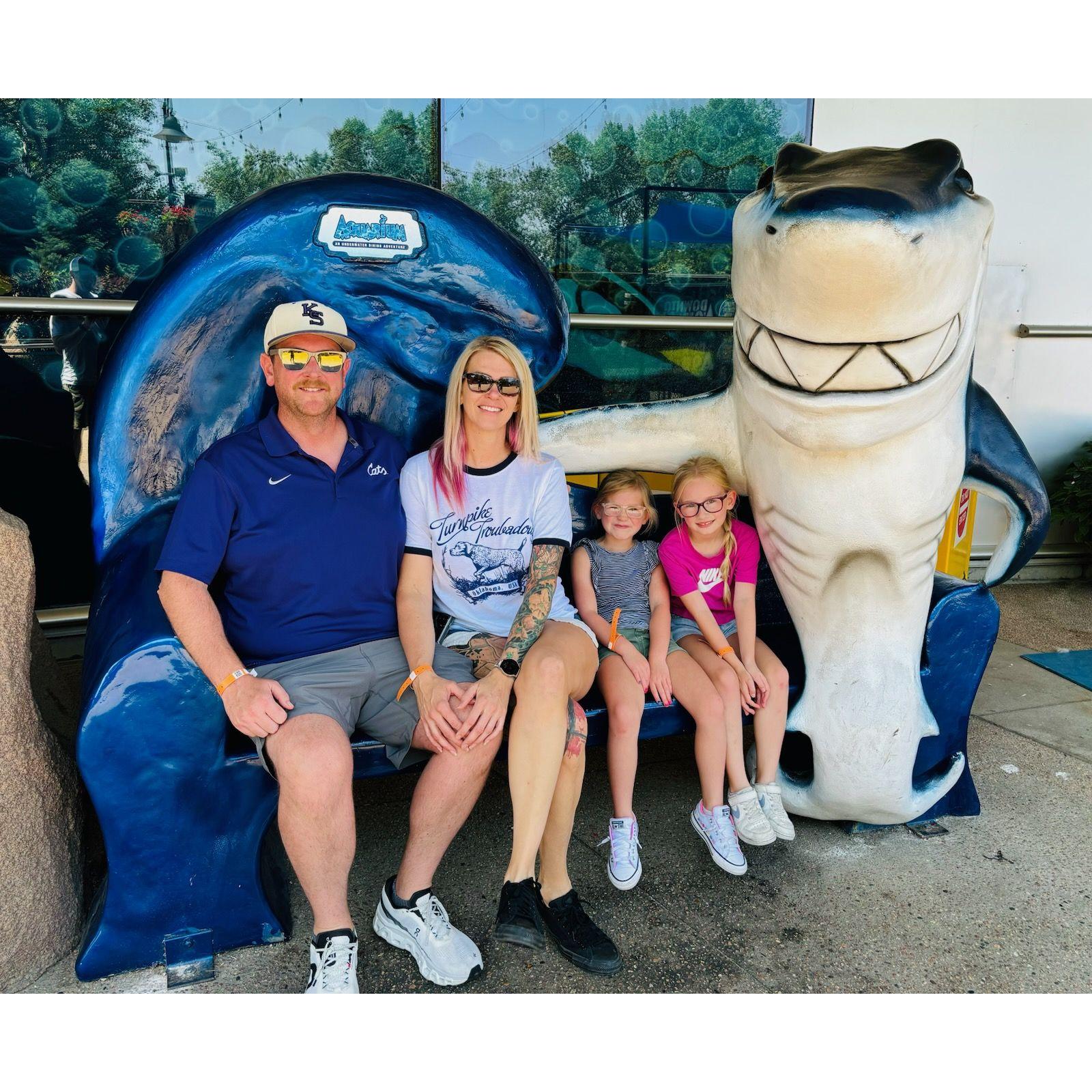 Denver Aquarium with the family