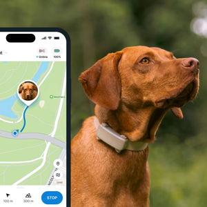 GPS Tracker for Tractive | Brown