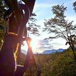 Zipline at Canopy Ridge Farm