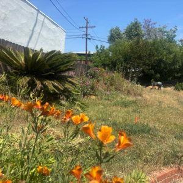 Backyard Irrigation