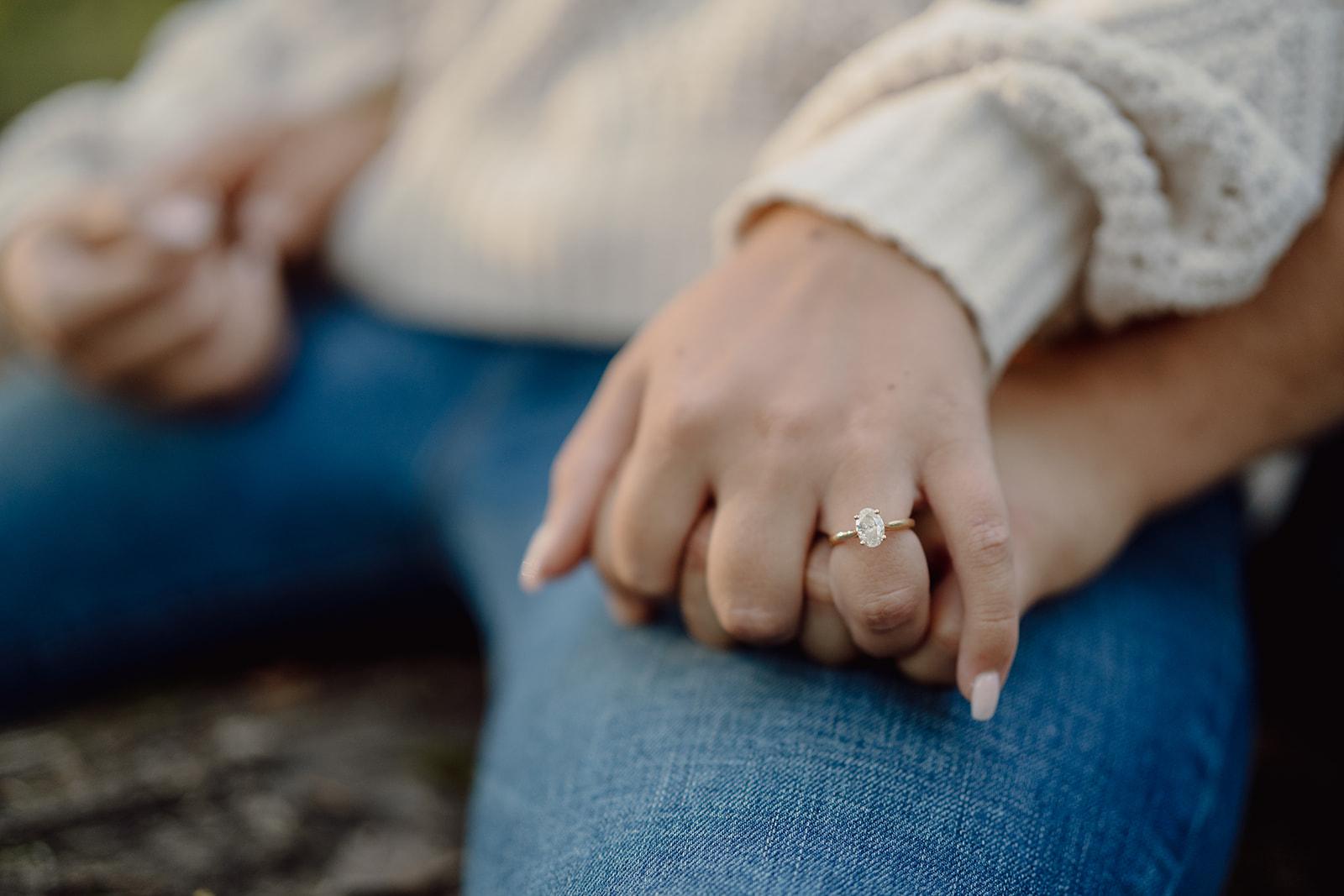 The Wedding Website of Paige Pellersels and Nicholas Agnelli