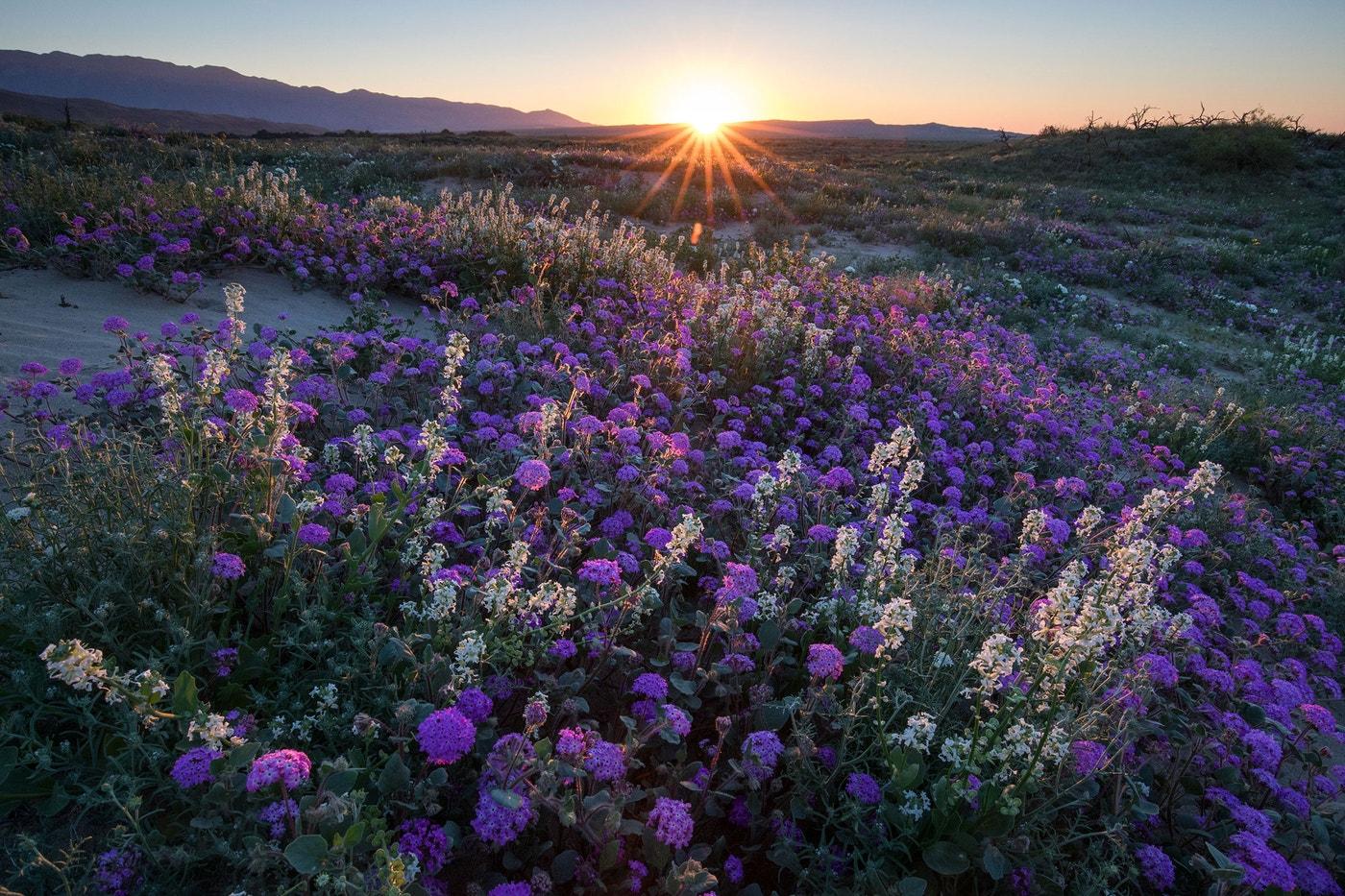 The Wedding Website of Emma Brownlee and Nathaniel DeLaCruz