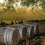 Wine Country Inn Texas