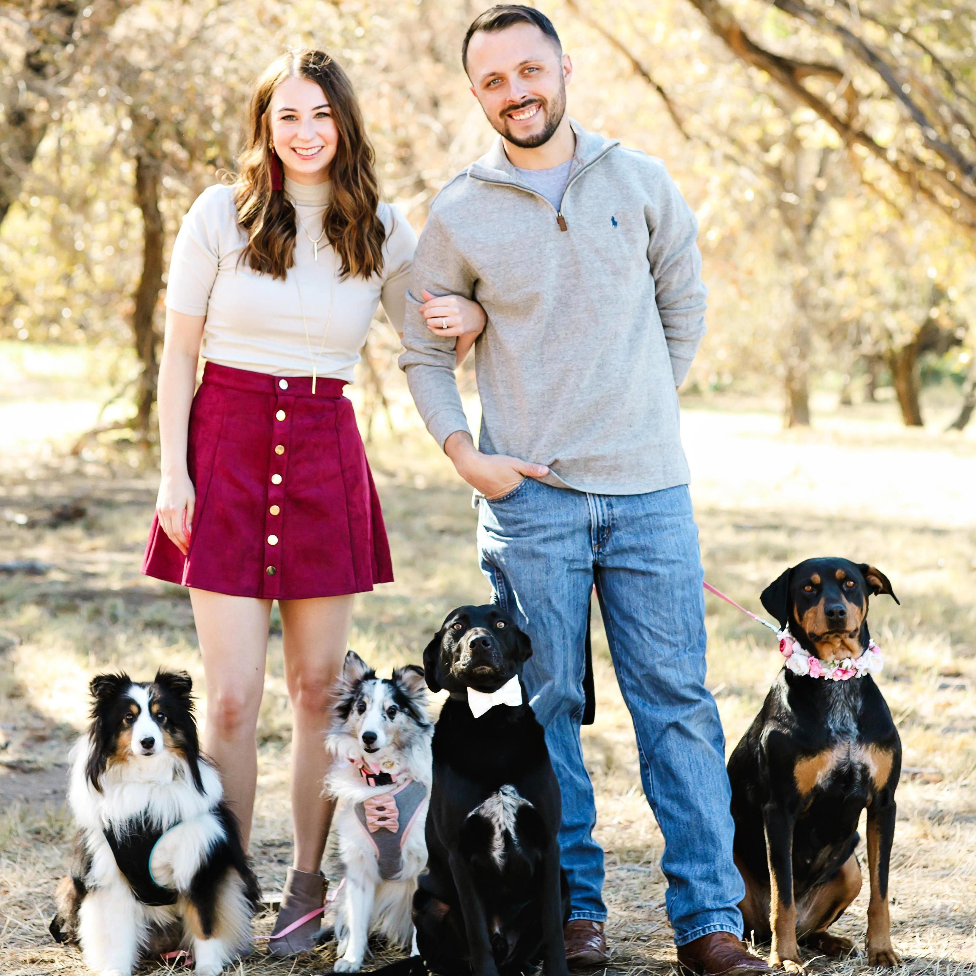 There is never a boring moment with four dogs and two cats! L-R Max, Marli, Jax & Ava
Photo Credit: Lauren Clark Photography 
laurenclarkphotography.com