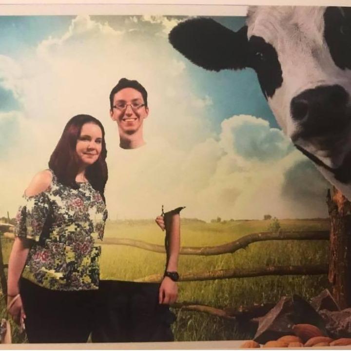 There was a miscommunication about green shirts and green screen technology. The judgmental cow is a bonus. Thanks, Hershey.