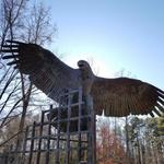 Carolina Raptor Center