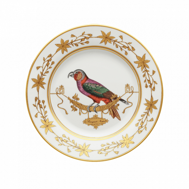 Dinner plate Volière Perroquet Nestor