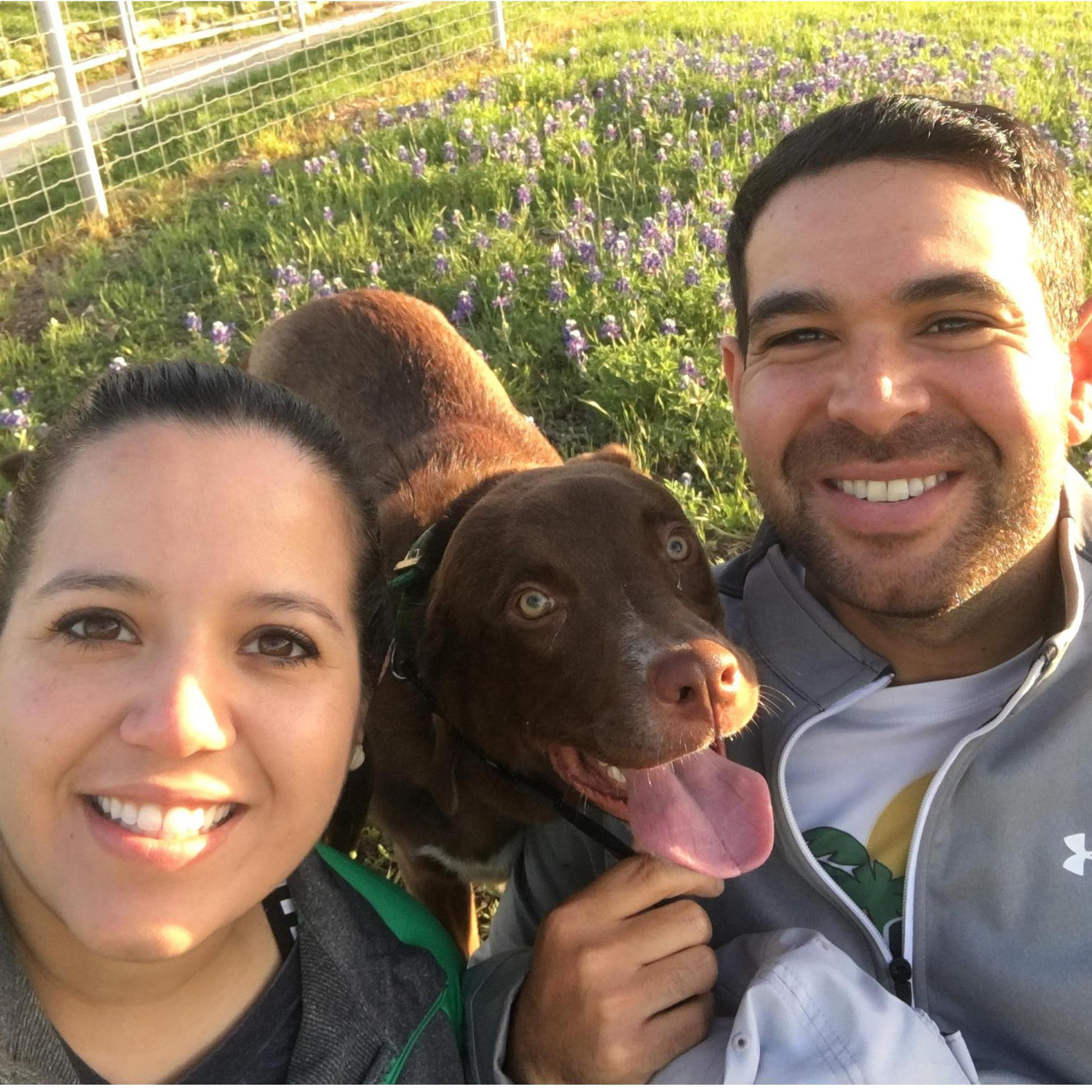 Buddy and Bluebonnets