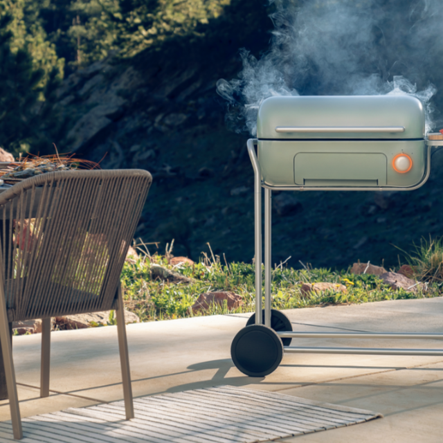 Precision Charcoal Grilling
