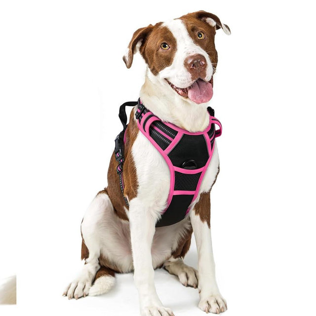 rabbitgoo Dog Harness No Pull with 2 Leash Clips, Adjustable Soft Padded, Reflective Oxford No Choke Pet Vest with Easy Control Handle for Large Dogs, Black & Hot Pink, L