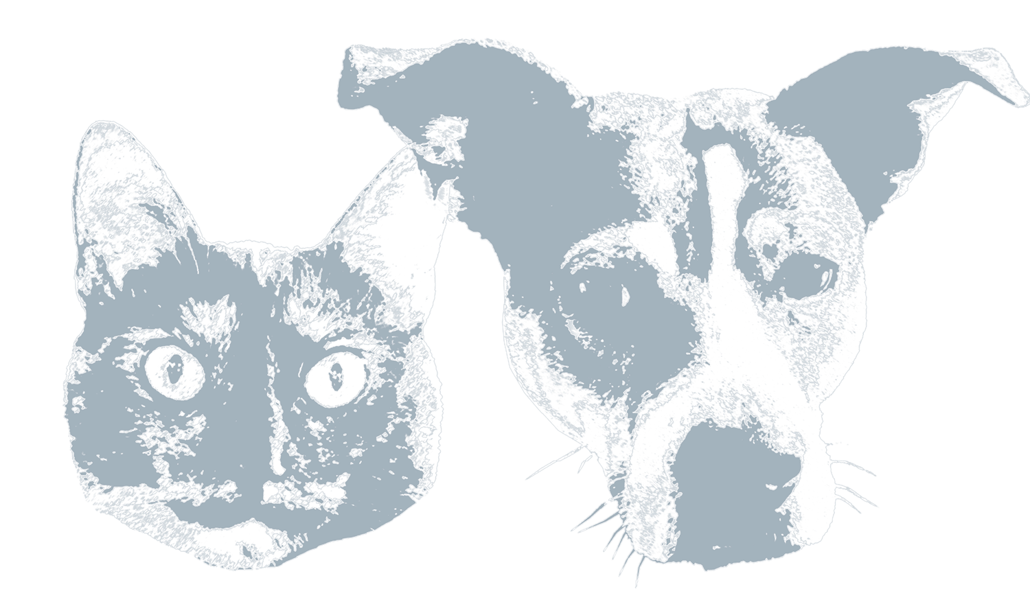 Footer image