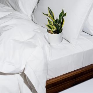 Sateen Duvet Cover