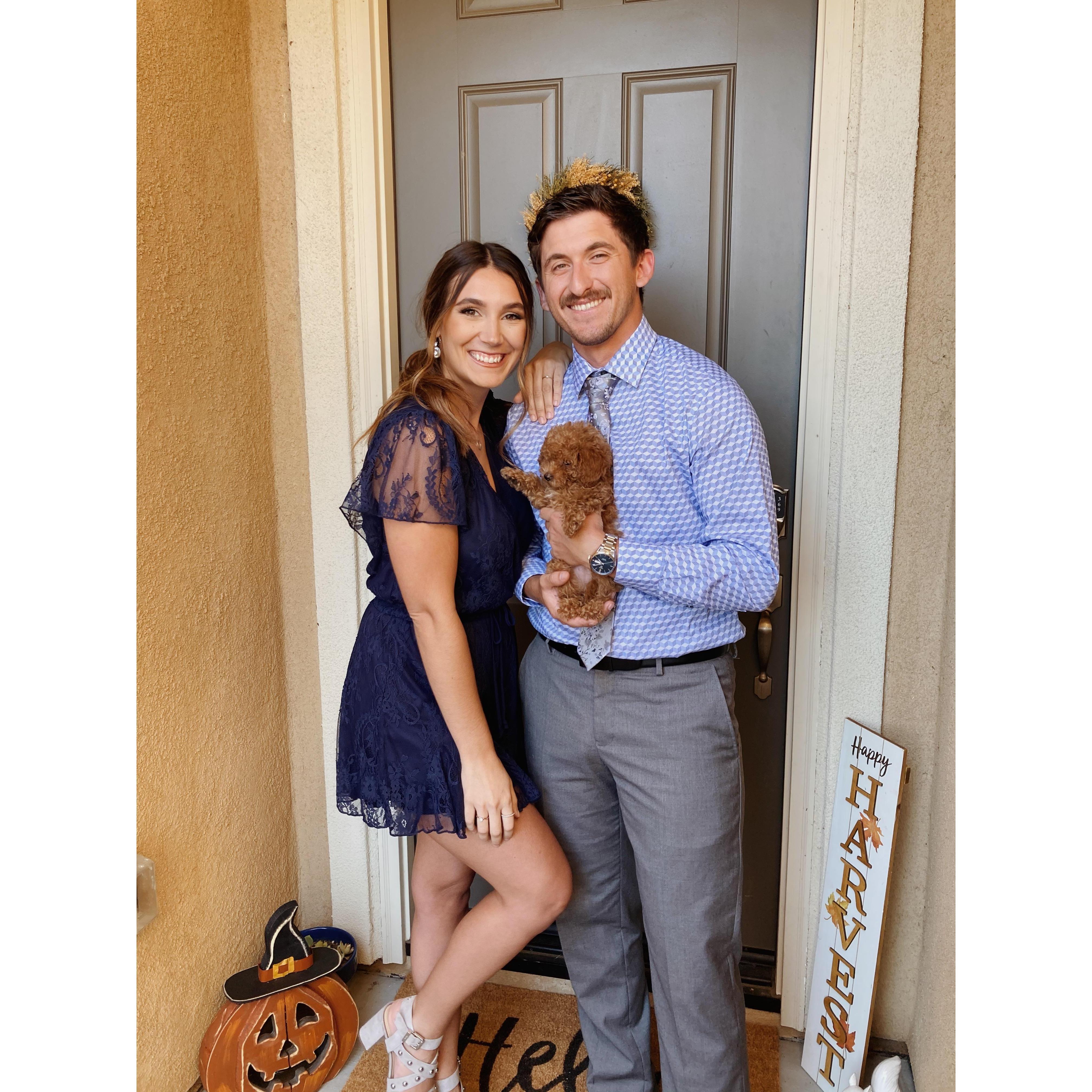 Our first house! And new puppy Willow