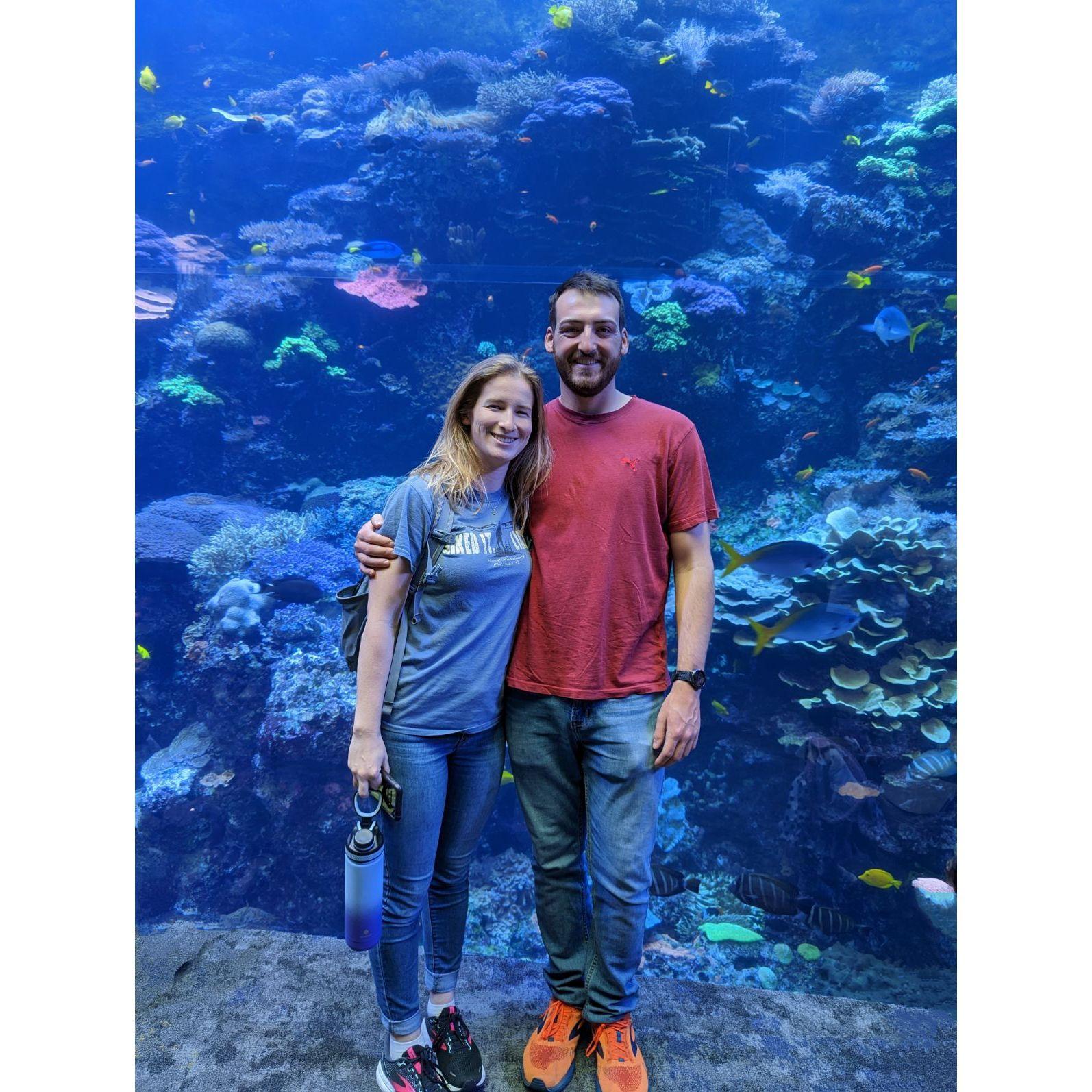 Georgia Aquarium