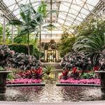 Longwood Gardens