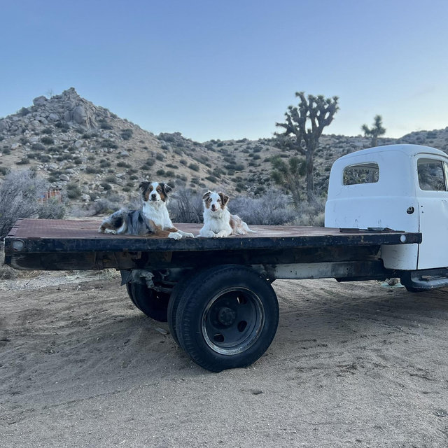 Marley & Coves Adventure Fund