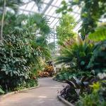 Foellinger-Freimann Botanical Conservatory