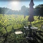 Mill River Winery