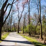 Big Creek Greenway